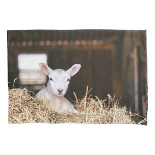 Cutest Baby Animals Newborn Lamb Pillowcase