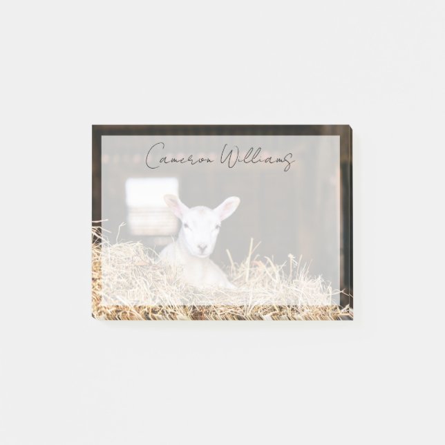Cutest Baby Animals | Newborn Lamb Post-it Notes (Front)