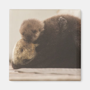 Cutest Baby Animals Newborn Otter Pup Magnet