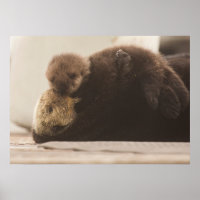 Cutest Baby Animals | Newborn Otter Pup