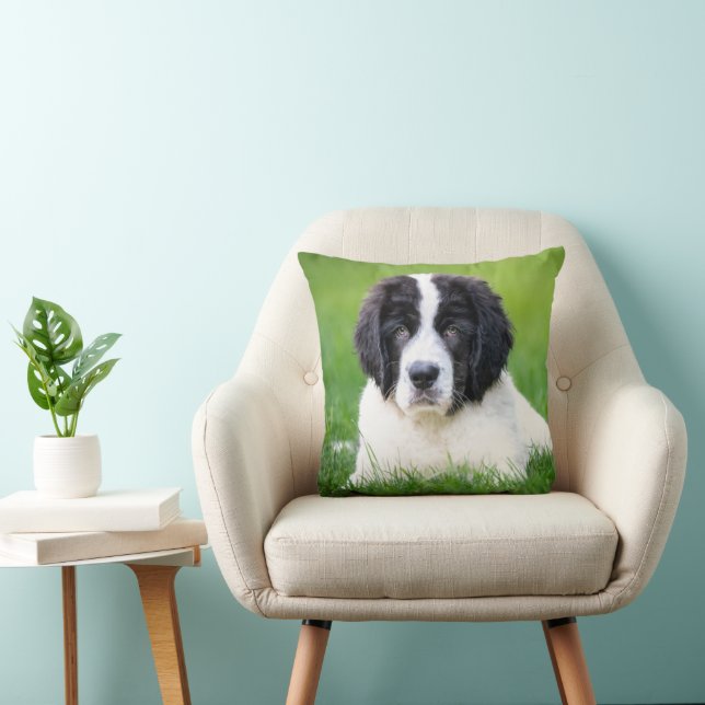Cutest Baby Animals | Newfoundland Puppy Cushion (Chair)