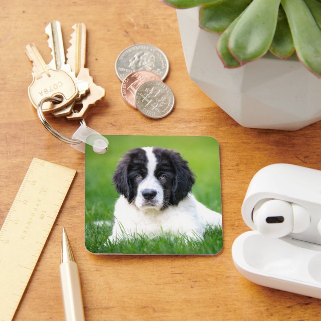 Cutest Baby Animals | Newfoundland Puppy Key Ring (Desk)