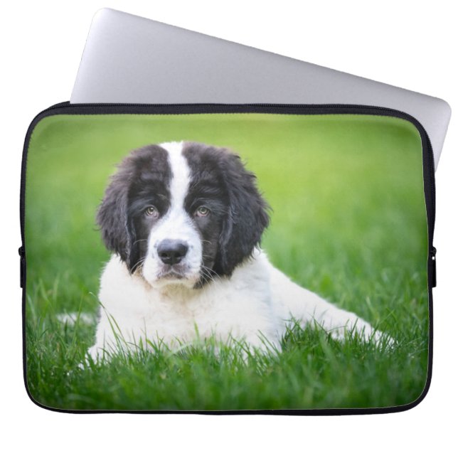 Cutest Baby Animals | Newfoundland Puppy Laptop Sleeve (Front)