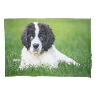 Cutest Baby Animals   Newfoundland Puppy Pillowcase