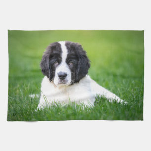 Cutest Baby Animals Newfoundland Puppy Tea Towel