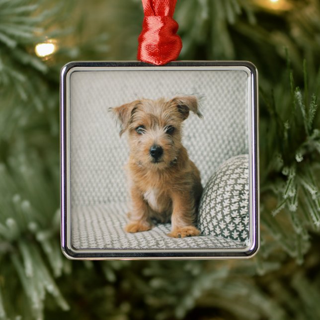 Cutest Baby Animals | Norfolk Terrier Puppy Metal Ornament (Tree)