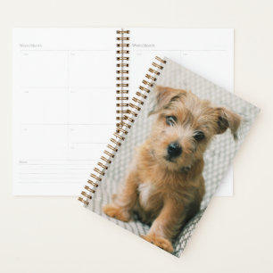 Cutest Baby Animals Norfolk Terrier Puppy Planner
