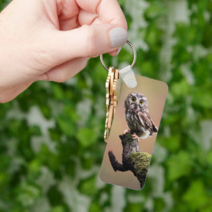 Cutest Baby Animals   Northern Saw Whet Owl Key Ring