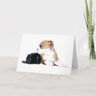 Cutest Baby Animals Old Tyme British Bulldog Card