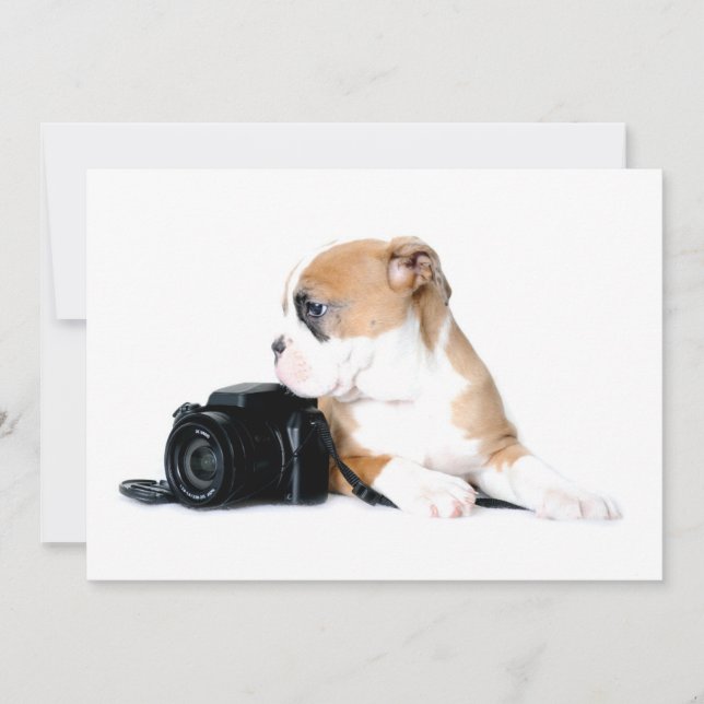 Cutest Baby Animals | Old Tyme British Bulldog Thank You Card (Front)