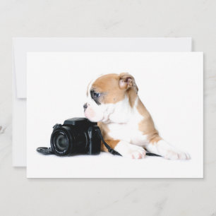 Cutest Baby Animals   Old Tyme British Bulldog Thank You Card