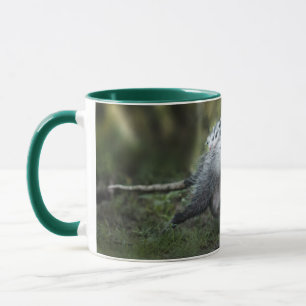 Cutest Baby Animals   Opossum Mum & Kids Mug