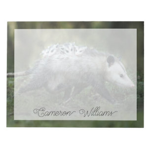 Cutest Baby Animals   Opossum Mum & Kids Notepad