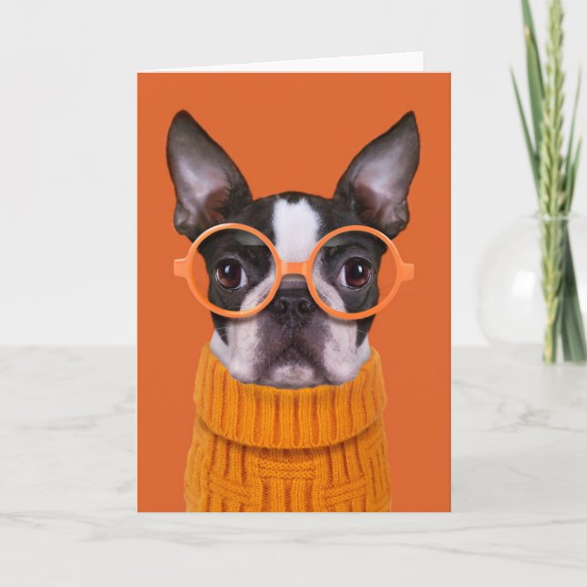 Cutest Baby Animals | Orange Boston Terrier Card (Front)
