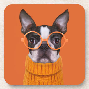 Cutest Baby Animals Orange Boston Terrier Coaster