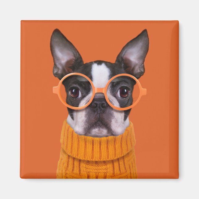 Cutest Baby Animals | Orange Boston Terrier Magnet (Front)