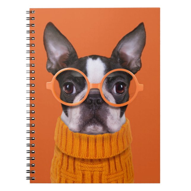 Cutest Baby Animals | Orange Boston Terrier Notebook (Front)