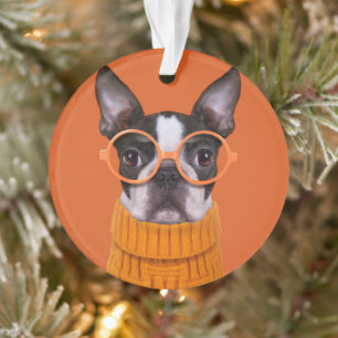 Cutest Baby Animals Orange Boston Terrier Ornament