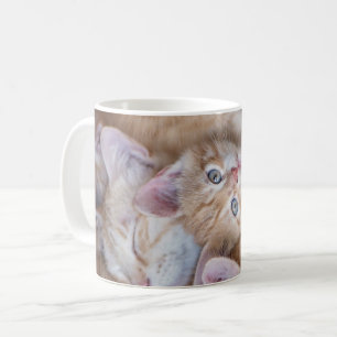 Cutest Baby Animals Orange Kitten Pile Coffee Mug
