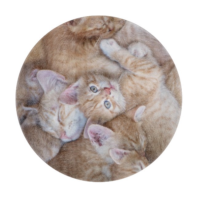 Cutest Baby Animals | Orange Kitten Pile Cutting Board (Front)