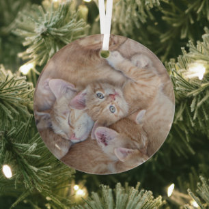 Cutest Baby Animals Orange Kitten Pile Glass Tree Decoration