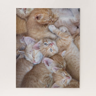 Cutest Baby Animals Orange Kitten Pile Jigsaw Puzzle