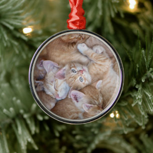 Cutest Baby Animals Orange Kitten Pile Metal Ornament