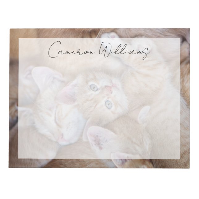 Cutest Baby Animals | Orange Kitten Pile Notepad (Front)