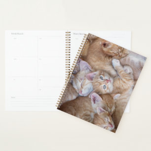 Cutest Baby Animals Orange Kitten Pile Planner