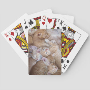Cutest Baby Animals   Orange Kitten Pile Playing Cards