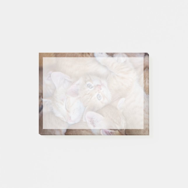 Cutest Baby Animals | Orange Kitten Pile Post-it Notes (Front)