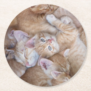 Cutest Baby Animals Orange Kitten Pile Round Paper Coaster