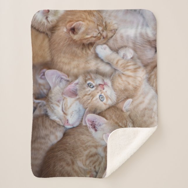 Cutest Baby Animals | Orange Kitten Pile Sherpa Blanket (Front)