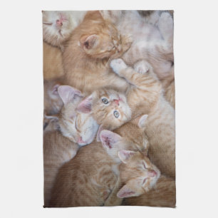 Cutest Baby Animals   Orange Kitten Pile Tea Towel