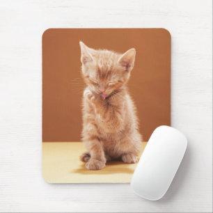 Cutest Baby Animals Orange Tabby Kitten Mouse Pad