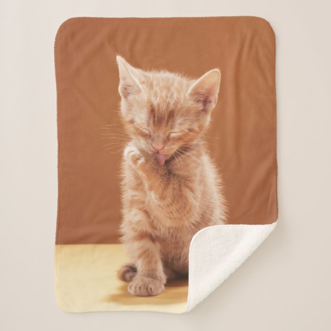 Cutest Baby Animals | Orange Tabby Kitten Sherpa Blanket (Front)