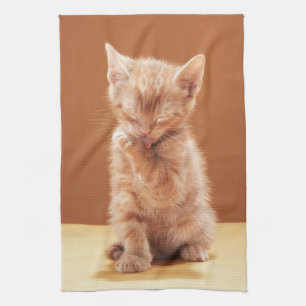 Cutest Baby Animals   Orange Tabby Kitten Tea Towel