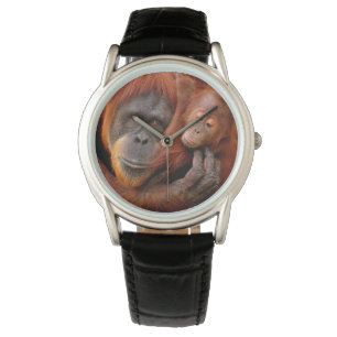 Cutest Baby Animals   Orangutan Mom & Baby Watch