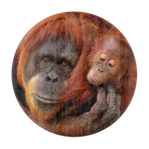 Cutest Baby Animals Orangutan Mum & Baby Cutting Board