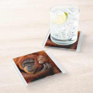 Cutest Baby Animals   Orangutan Mum & Baby Glass Coaster