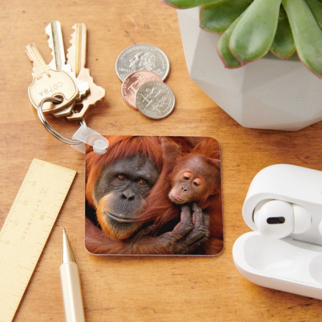 Cutest Baby Animals | Orangutan Mum & Baby Key Ring (Desk)