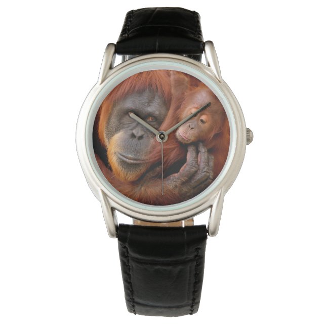 Cutest Baby Animals | Orangutan Mum & Baby Watch (Front)