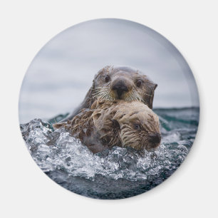 Cutest Baby Animals   Otter Baby & Mother Magnet