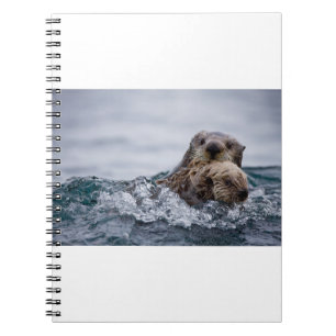 Cutest Baby Animals   Otter Baby & Mother Notebook