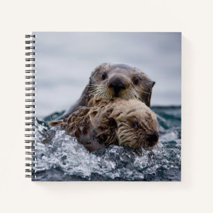 Cutest Baby Animals   Otter Baby & Mother Notebook
