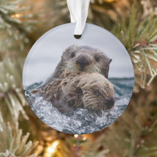 Cutest Baby Animals   Otter Baby & Mother Ornament