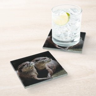Cutest Baby Animals   Otters Holding Hands Glass Coaster