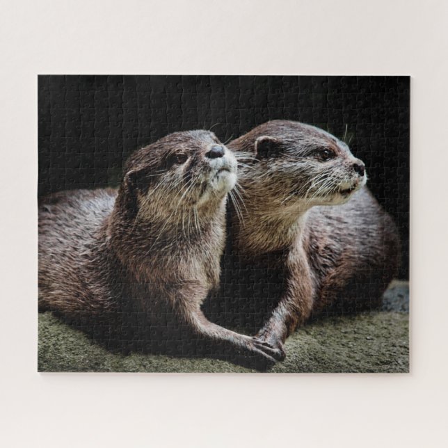 Cutest Baby Animals | Otters Holding Hands Jigsaw Puzzle (Horizontal)
