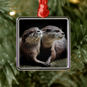 Cutest Baby Animals   Otters Holding Hands Metal Ornament