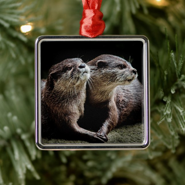 Cutest Baby Animals | Otters Holding Hands Metal Ornament (Tree)